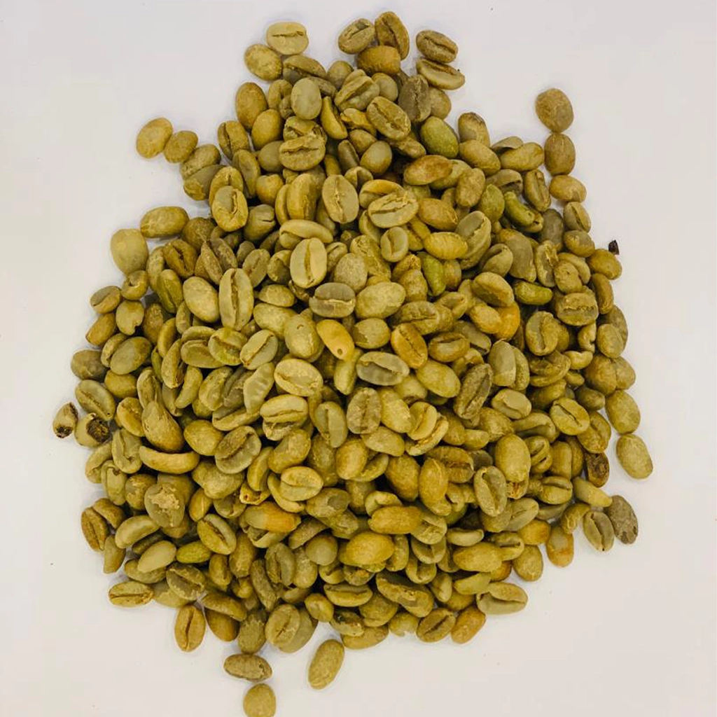 09_Illubabor Coffee